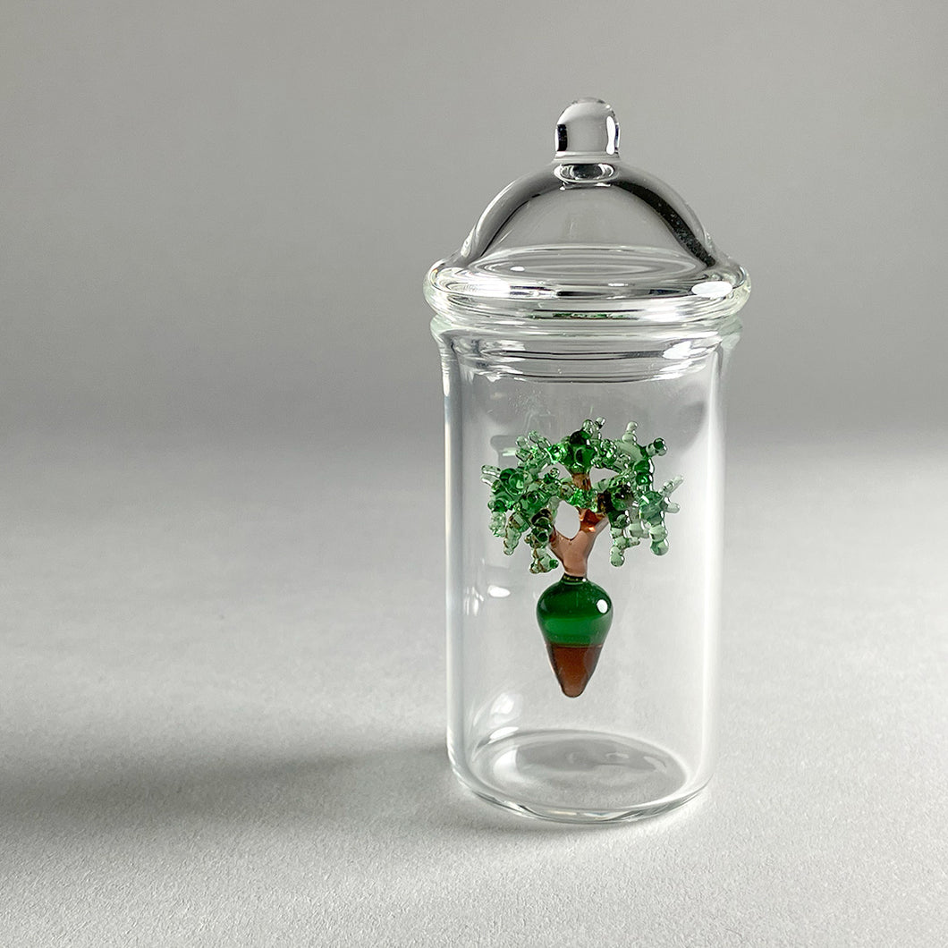 Molecular Tree in a Glass Jar